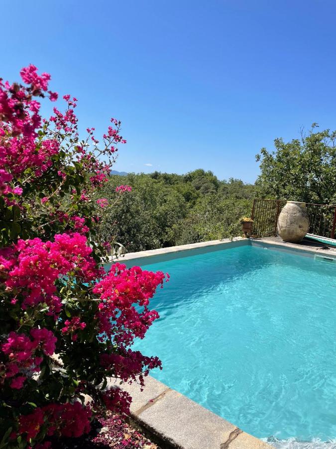 Le Petit Mas Bed & Breakfast Vogue Bagian luar foto