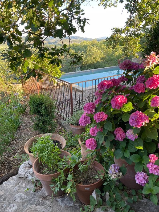 Le Petit Mas Bed & Breakfast Vogue Bagian luar foto