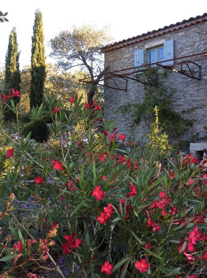 Le Petit Mas Bed & Breakfast Vogue Bagian luar foto