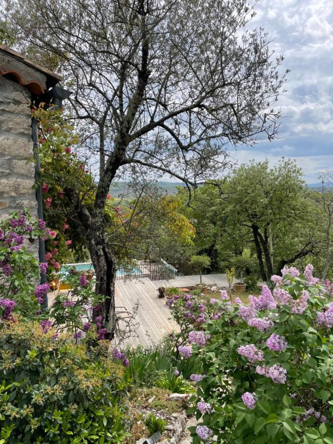 Le Petit Mas Bed & Breakfast Vogue Bagian luar foto